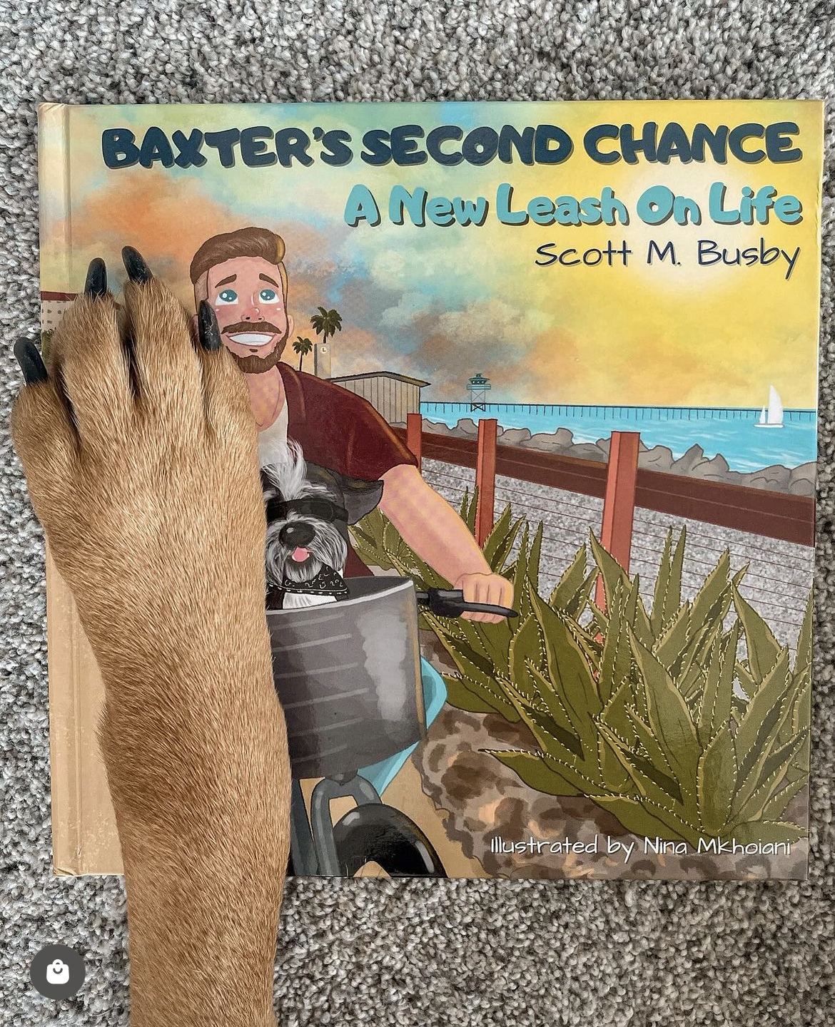 Contact BaxterDog about books schools rescue partnerships and bulk orders